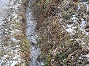 �������� ����������� ����� ��������� ��-���� ���� ������