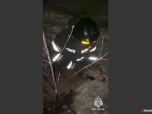 � ������ �������� ���������� ������� ������