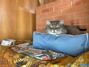 �������� ������ ������� ��������� ��������