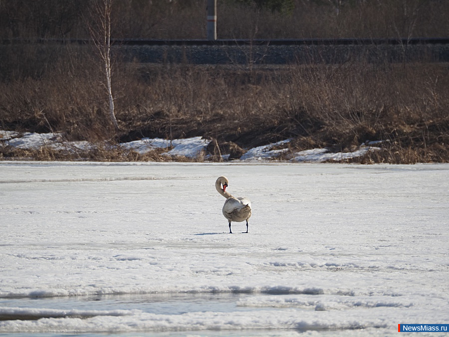 � ������ ��������� ������. �������� ����� ������ � �������� ���������� ��������