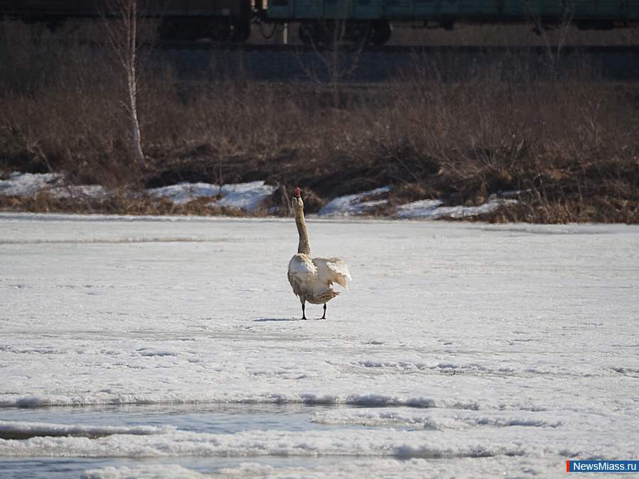 � ������ ��������� ������. �������� ����� ������ � �������� ���������� ��������