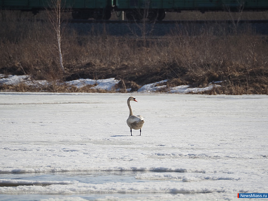 � ������ ��������� ������. �������� ����� ������ � �������� ���������� ��������