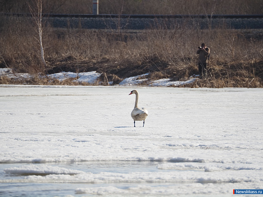 � ������ ��������� ������. �������� ����� ������ � �������� ���������� ��������