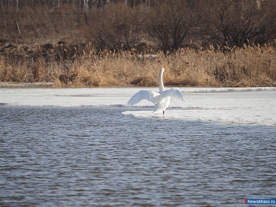 � ������ ��������� ������. �������� ����� ������ � �������� ���������� ��������