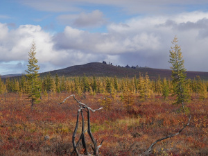 ������� ��� � 30-�� ������ �� ����