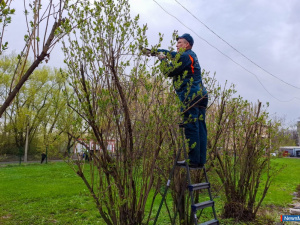 �������� ������ ������� ��������� � ������ ������ �����