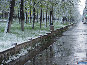 �����. ���. ����