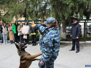 ����������� ������ ���������� � ����� ������ ���������