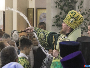 "������ � ��� ������� ��������� � �������? ������ ��� �� ������ �� ����"