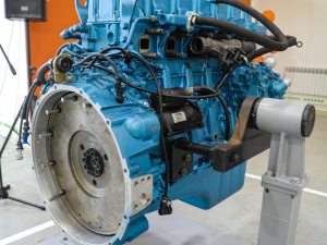 ������ � ����� ������!