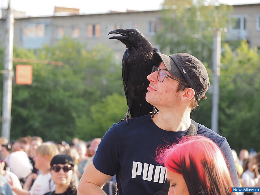 ����� � �������� ������� ���� �������� "������". ��������� "����" ������� ������� ������ ������� ������� � ����� 80-����� �� ��� ������� ������� ����������