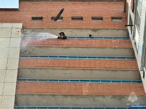 �������� ������ ������������� "����������" � �����������