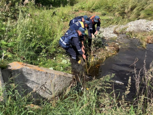 � ������ ������� ������ �� ���������� ����������� �������