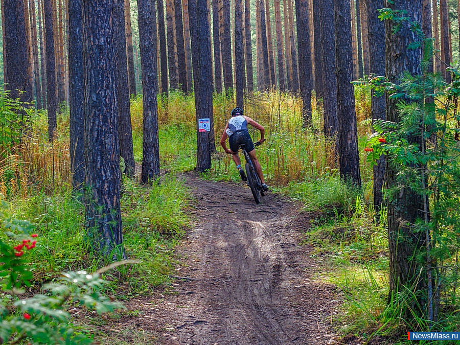 � ������ ������ ������� ������������ �� ���������. ���������� ������ ����� ��������� ���������� ������ �� ������ ����� �������