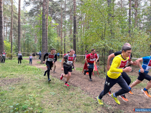 ��� ������ �� �������