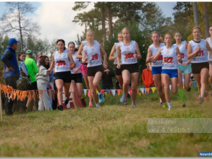 ����������� ������ ������� ��������� �� ������� ��������� �������������