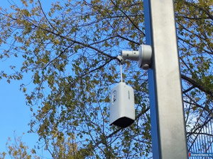 ��������� ���� ���������� � ������