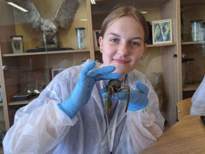 ������� ������ ��� "������" �������� ������� ������