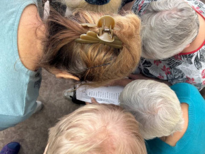 � ������ ������� ���� �������� ��� ������ ����������� ��������