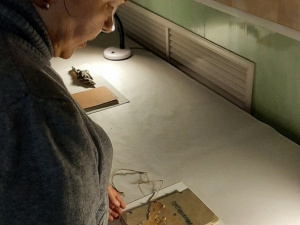 ������� ���������� �������� �������� "�������� ����������"