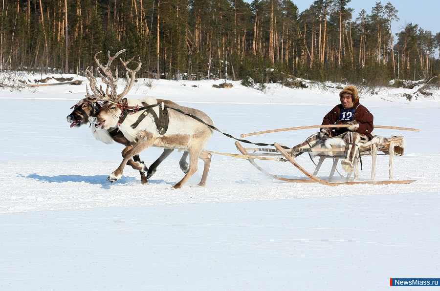 � ���������� ������ ��������� �������� "���� ��������� � ����-�����". ����� ���������� �������� ����� ���������� 20 ����� � ����� �� ������� ��������