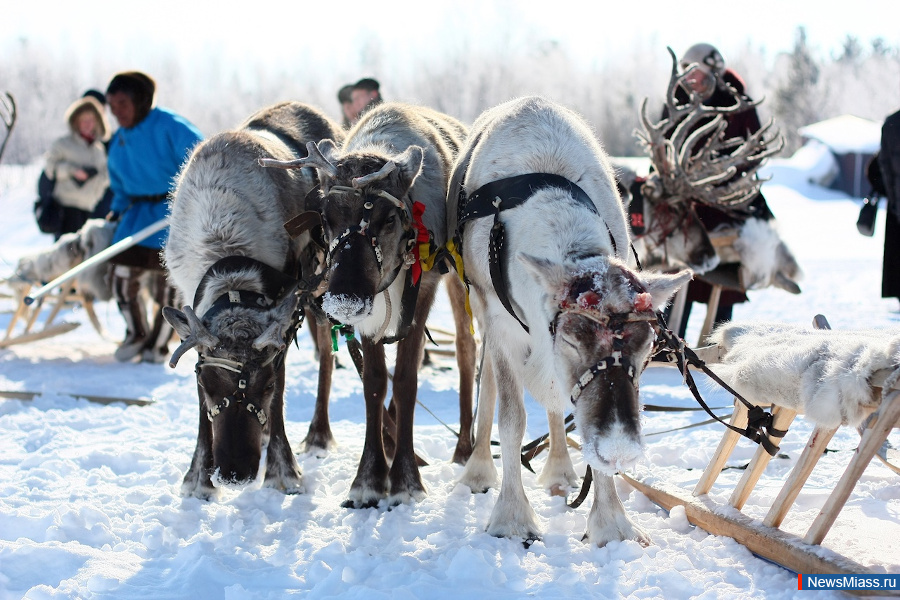 � ���������� ������ ��������� �������� "���� ��������� � ����-�����". ����� ���������� �������� ����� ���������� 20 ����� � ����� �� ������� ��������