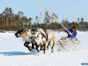 � ���������� ������ ��������� �������� "���� ��������� � ����-�����"