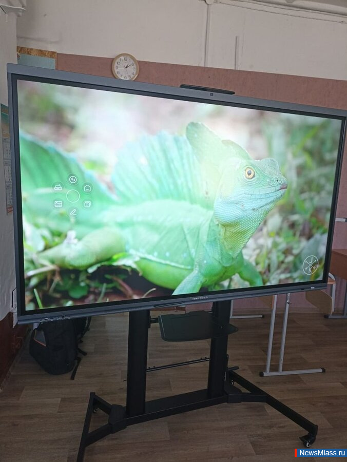 , ,  ....  ,       1  2024 ,    