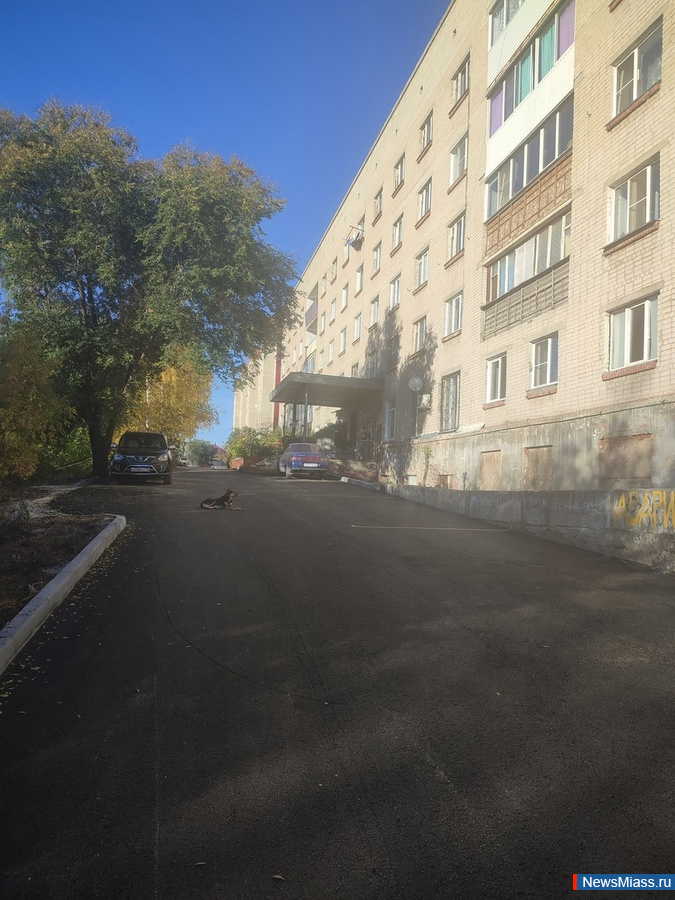 "    -   ".  ,      14  2024 ,    