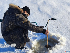 ����������� ���������� �������� ������� ���� �� ������� ������