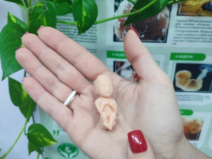 "����� � ����� �����": �� � 2 ������ �������� ��������� ��������