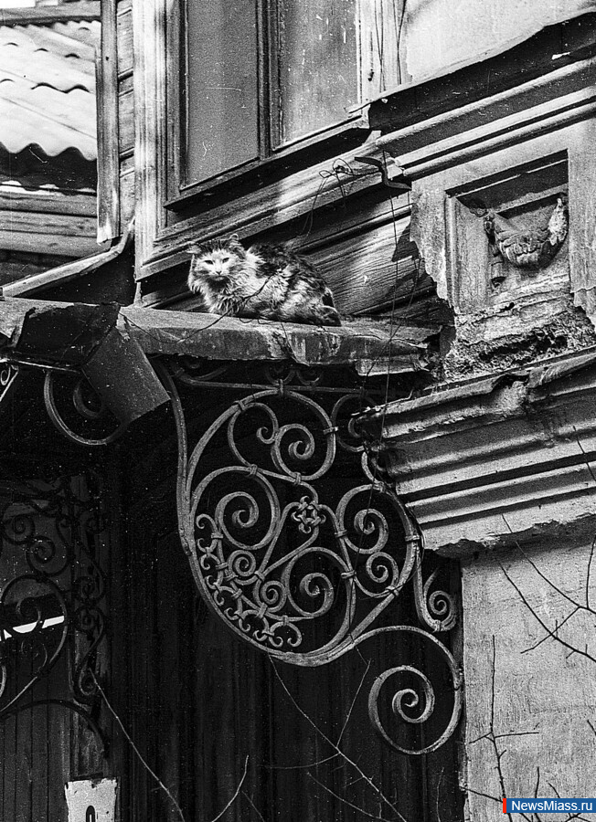 "   -      ".      115-       ""