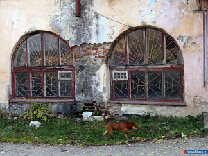 "����, ��� ������������� ����� ����"