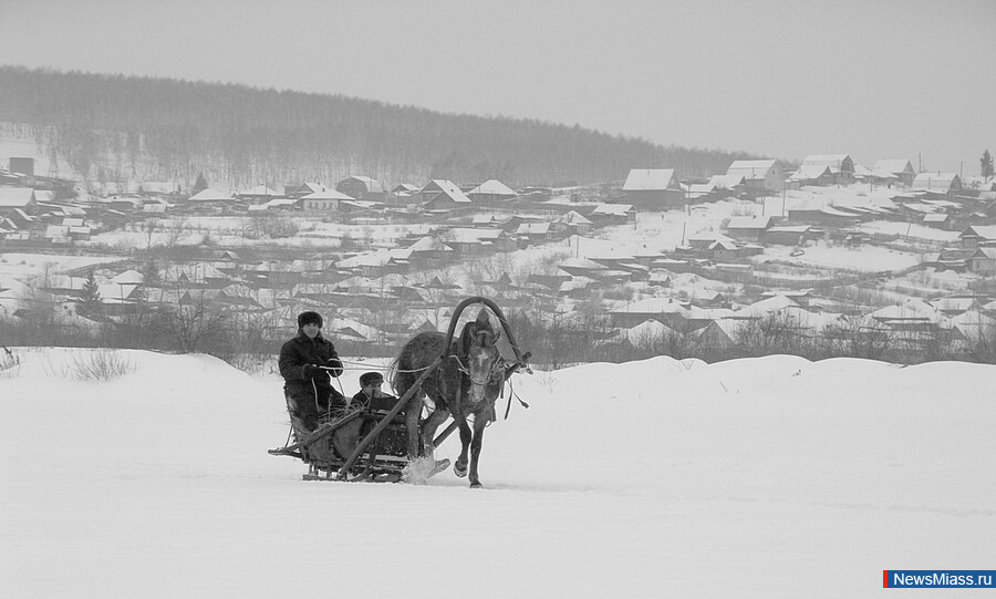 "   ,  ".      115-       ""