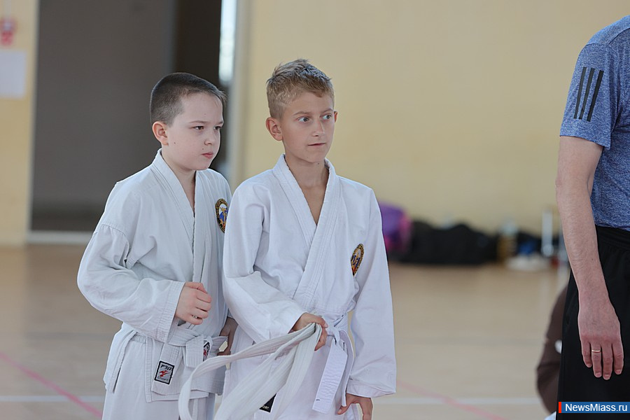 � ������ ������ ������ ������ �� ���������� ����������� ���. � ������������� ������� ������� ����� 100 ����������� �� ����������, ������, �������� � �����