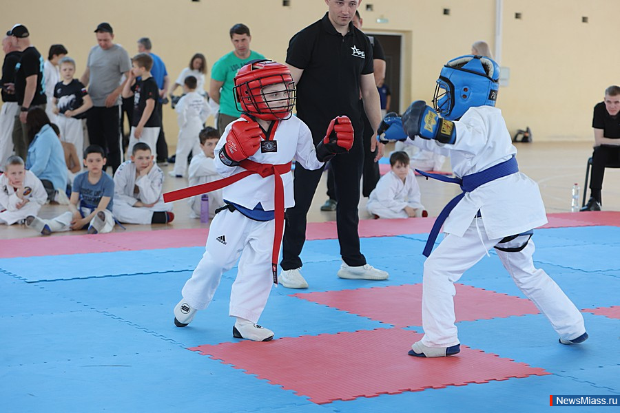 � ������ ������ ������ ������ �� ���������� ����������� ���. � ������������� ������� ������� ����� 100 ����������� �� ����������, ������, �������� � �����