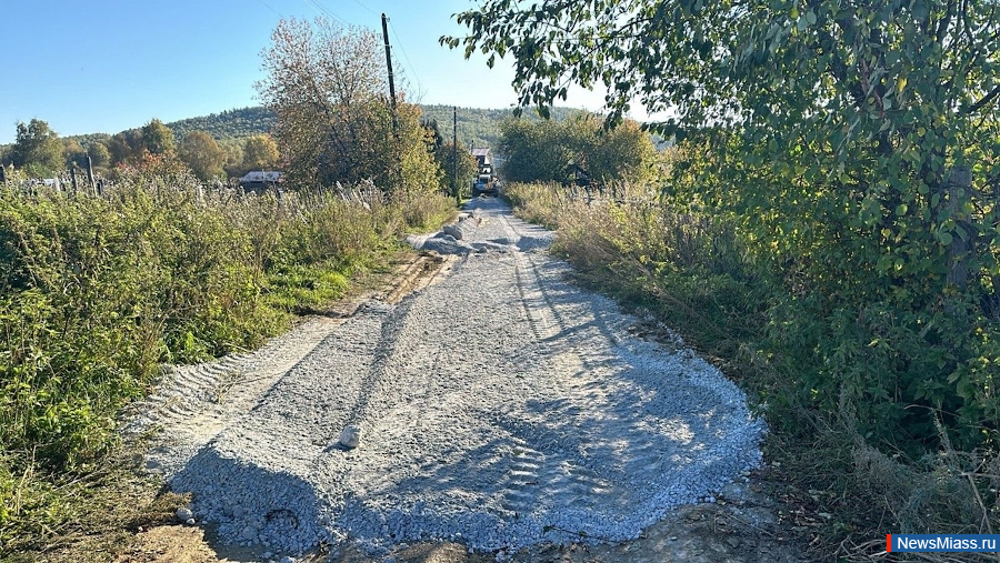 "        ". -2025:        ,      ?   