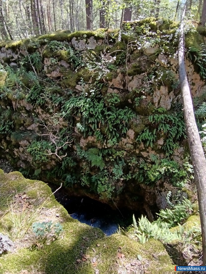 �������� ������ �����: ��� �������� �������� ������. ��� ������� � ������ ������ ���������� ����� ����������� ����������� ������� ��������� ������-��������