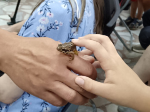 ������ ��������� �������, "�� ��� �� ����� �����"