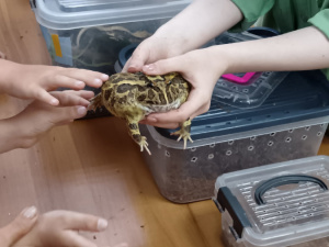 ������ ��������� �������, "�� ��� �� ����� �����"