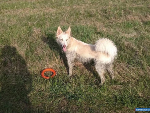 �� ��������� � ���: ��� ���� ������� �� ������ ������ ������ �����