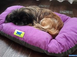 �� ��������� � ���: ��� ���� ������� �� ������ ������ ������ �����