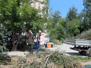 ������������ ���������� ������ �������� � �������