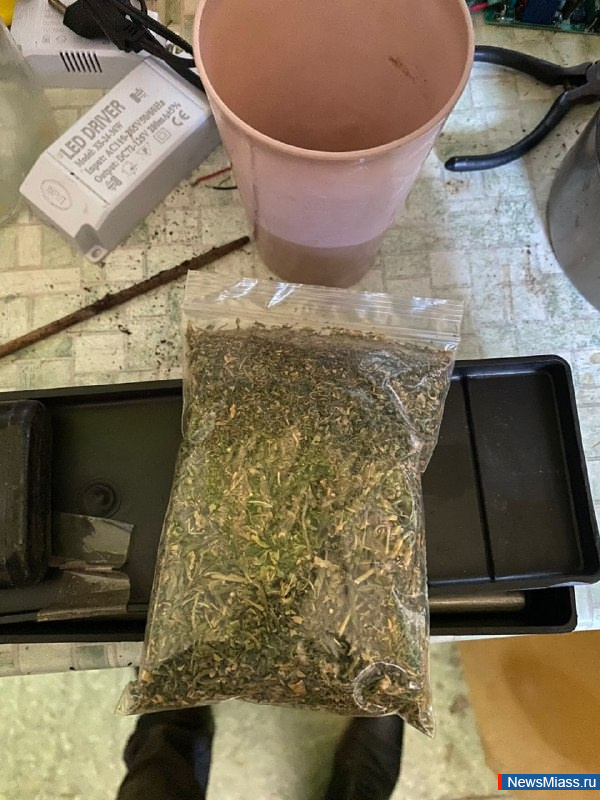      700   .           -  "-2025"