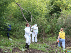 � ������ ������� ��������� � ������������ ��������