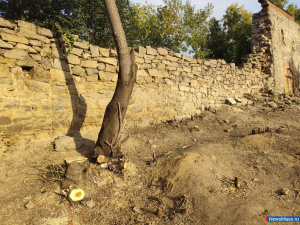 � ����� ����� ������ ���������� ����������� ����