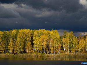 ����������� ������ ���� � ����� ��������