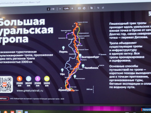 �����-����������� � ������� �������� ������ � ������