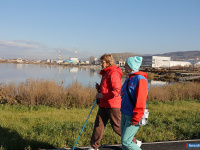 ������������� ����� ������ ������ � ��������