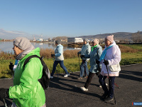 ������������� ����� ������ ������ � ��������